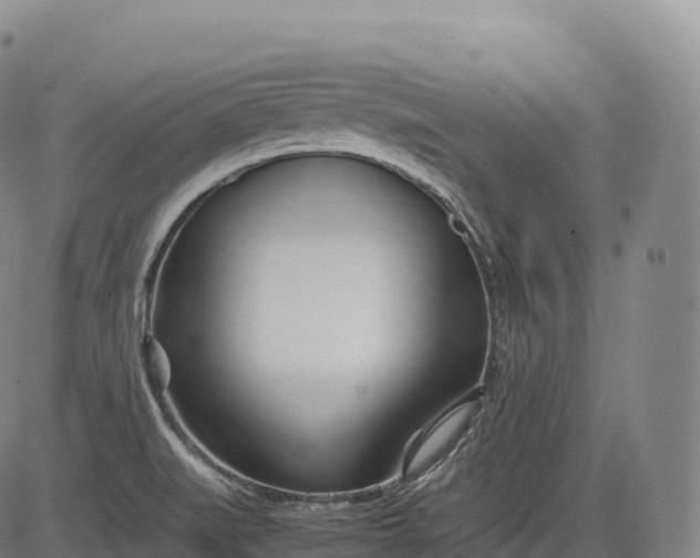 X0000083011519200702161538