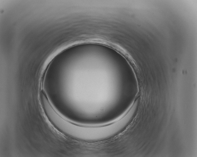 X0000083011520200702161538