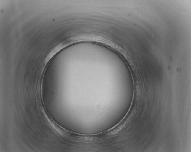 X0000083011521200702161538