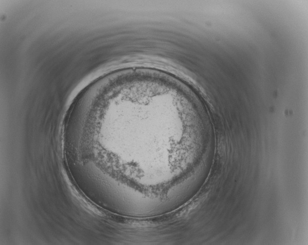 X0000083011522200702161538