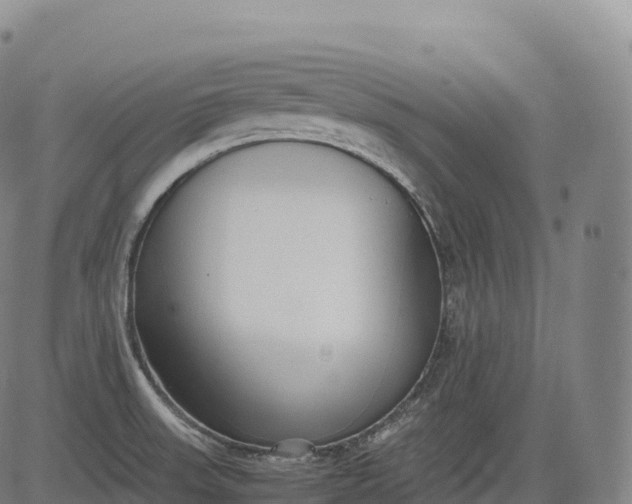 X0000083011523200702161538