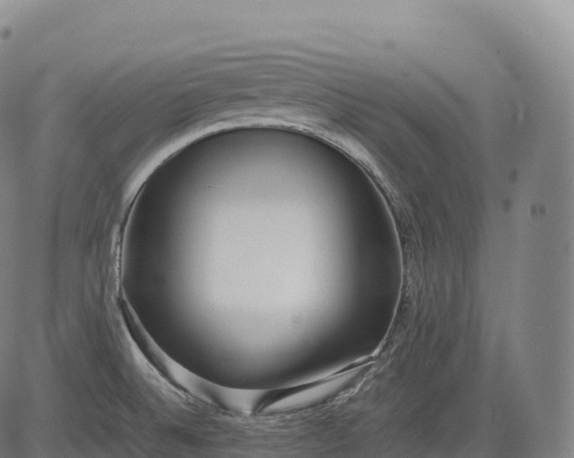 X0000083011524200702161538