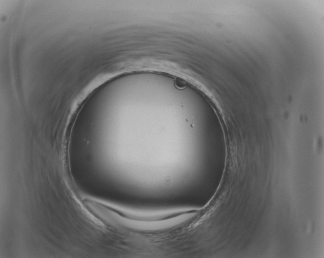 X0000083011525200702161538