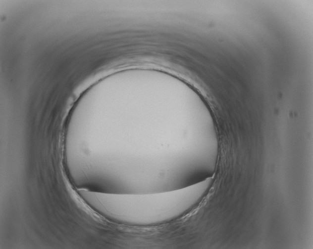 X0000083011526200702161538