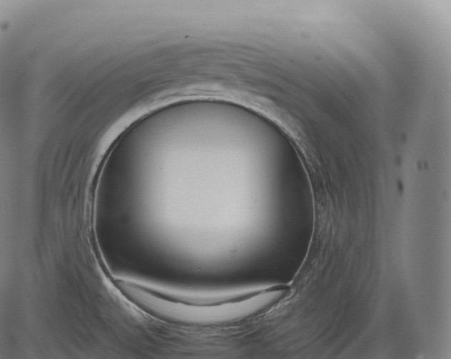 X0000083011527200702161538