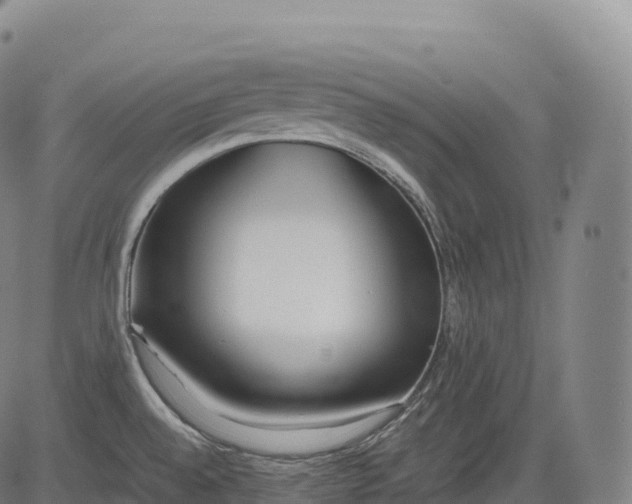 X0000083011528200702161538