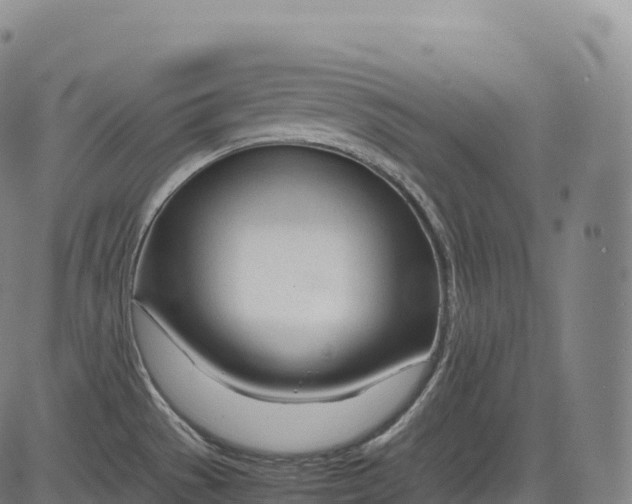 X0000083011529200702161538