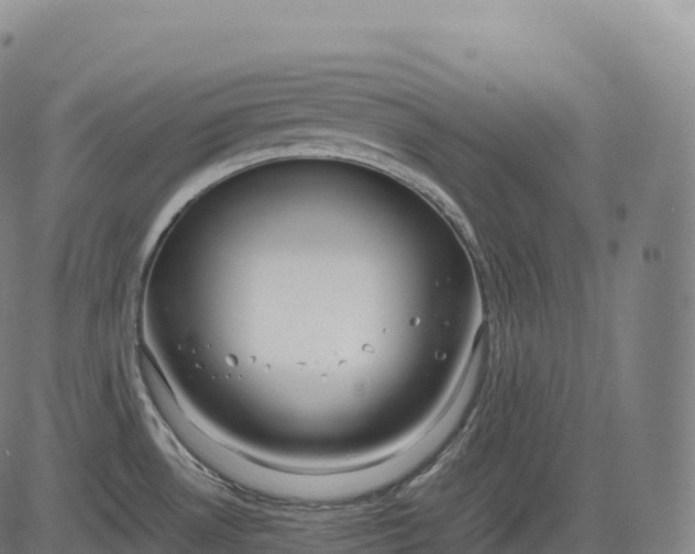 X0000083011530200702161538