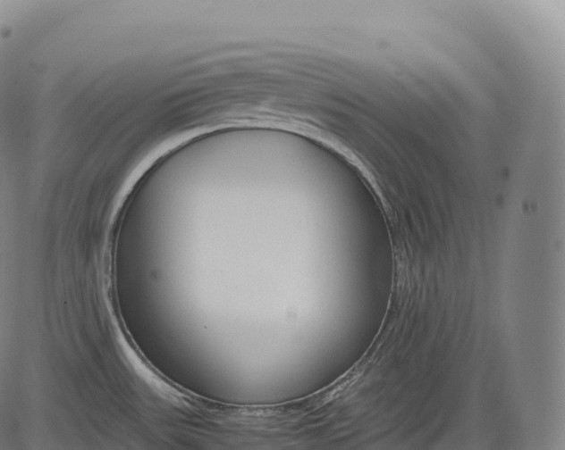 X0000083011531200702161538