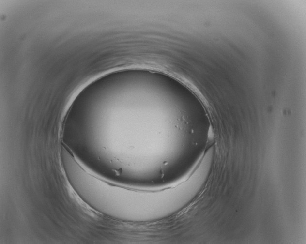 X0000083011532200702161538