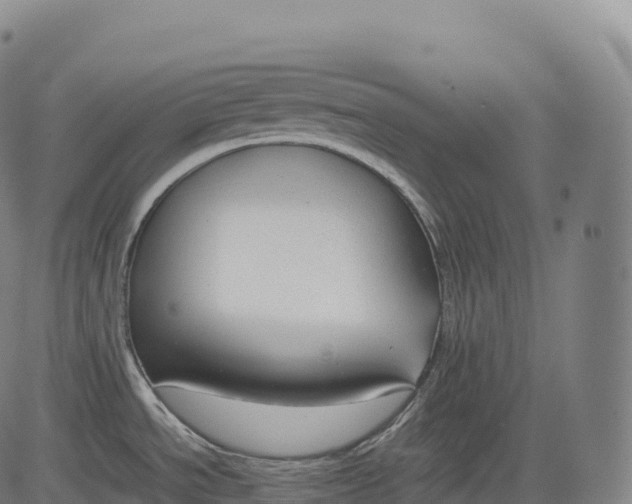 X0000083011534200702161538