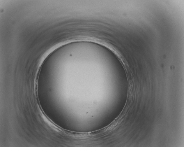 X0000083011535200702161538