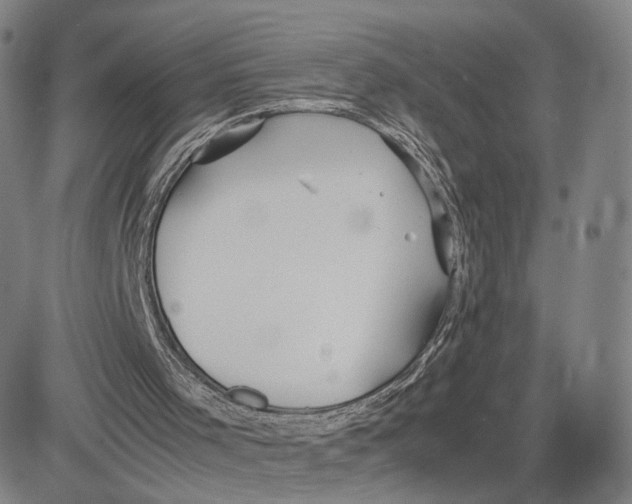 X0000083010001200702231824