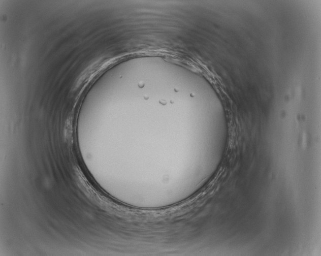 X0000083010002200702231824