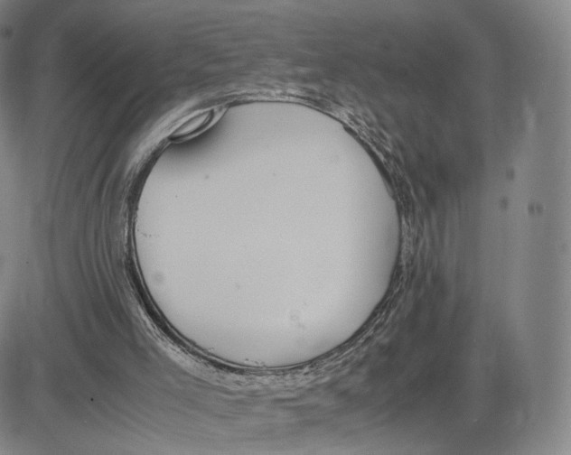 X0000083010005200702231824