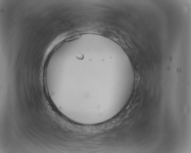 X0000083010006200702231824