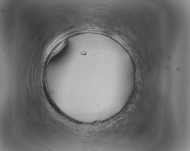 X0000083010007200702231824