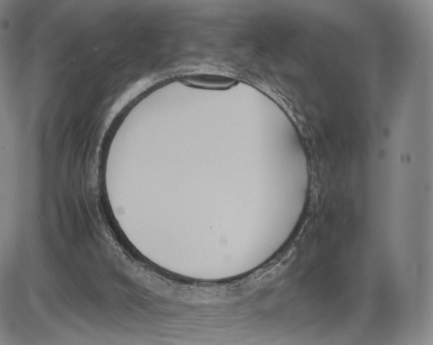 X0000083010008200702231824