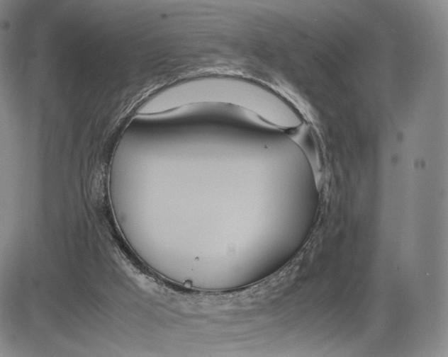 X0000083010009200702231824