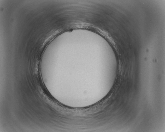 X0000083010010200702231824