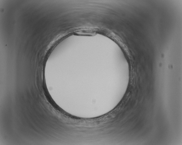 X0000083010011200702231824