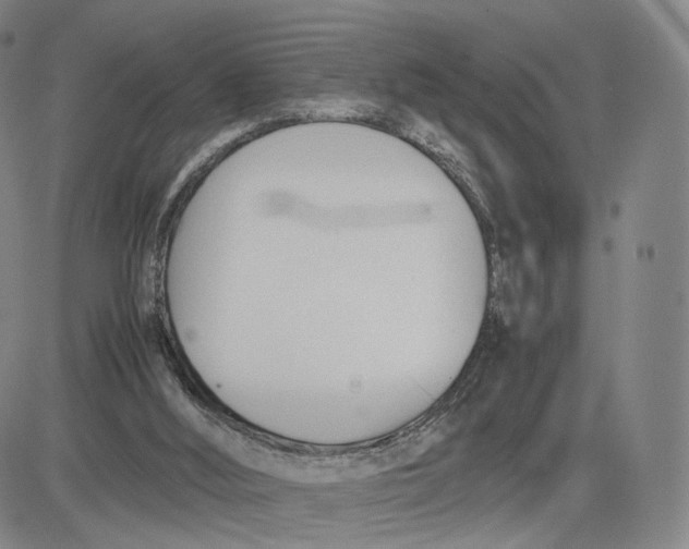 X0000083010012200702231824