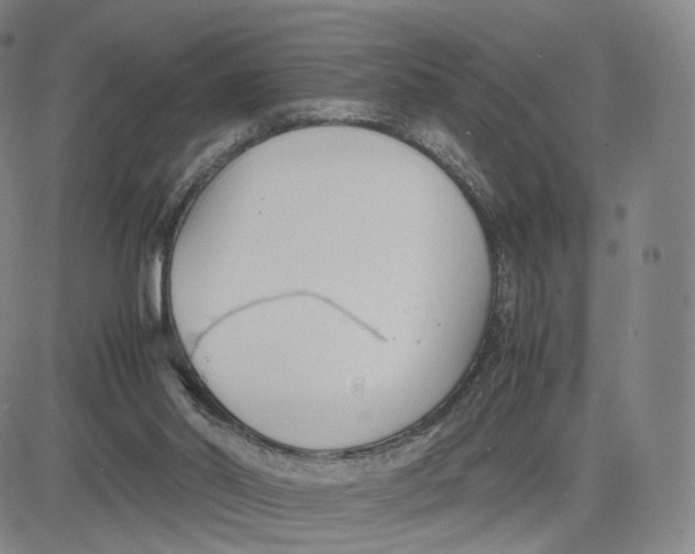 X0000083010014200702231824