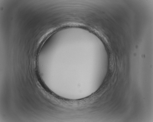 X0000083010015200702231824