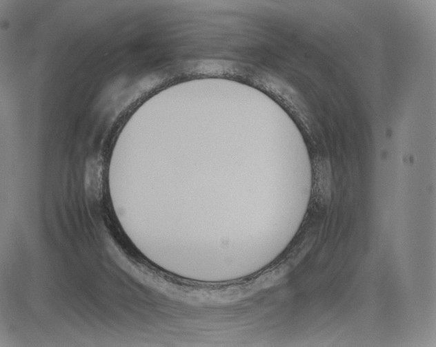 X0000083010016200702231824