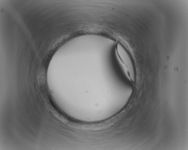 X0000083010017200702231824