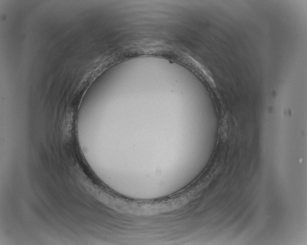 X0000083010018200702231824