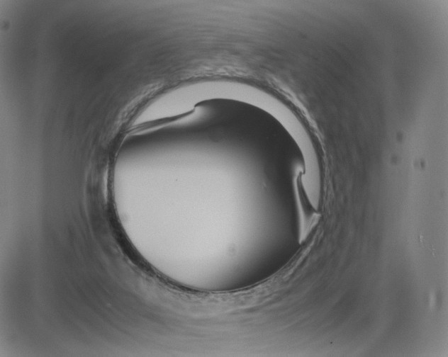 X0000083010019200702231824