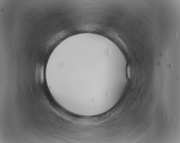 X0000083010020200702231824