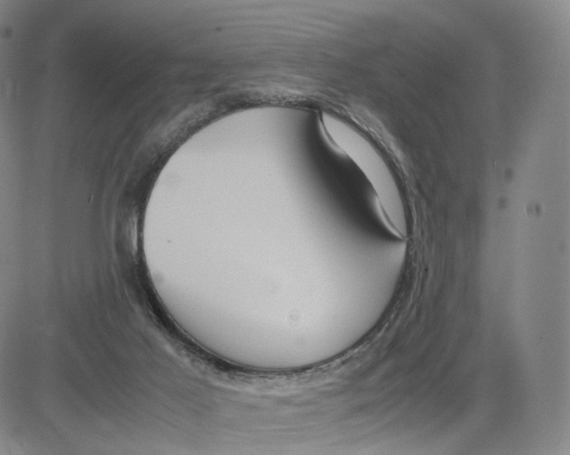 X0000083010021200702231824