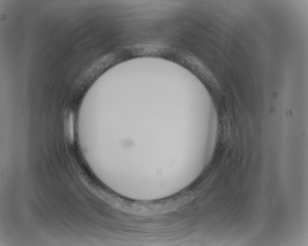 X0000083010022200702231824