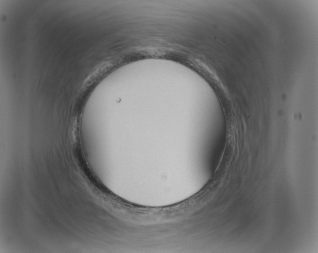 X0000083010023200702231824