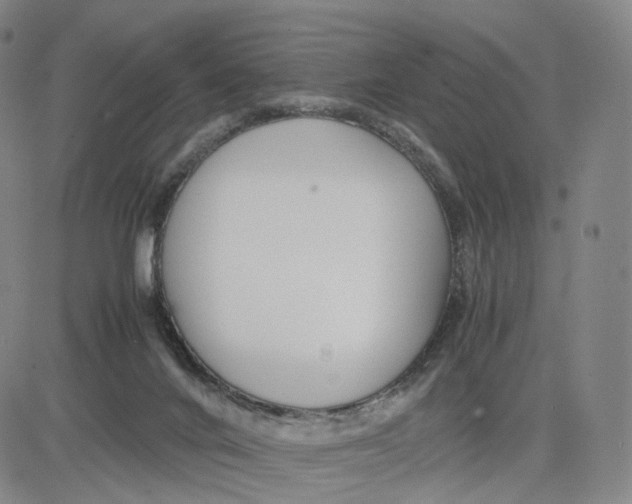 X0000083010024200702231824