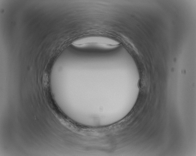 X0000083010025200702231824