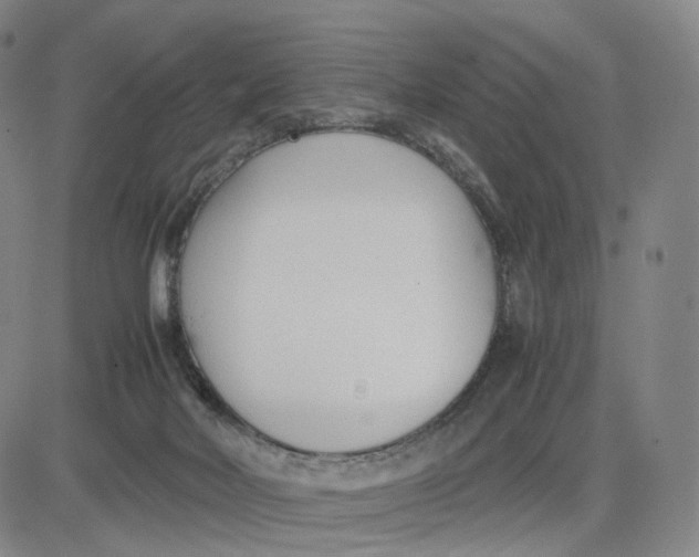 X0000083010026200702231824