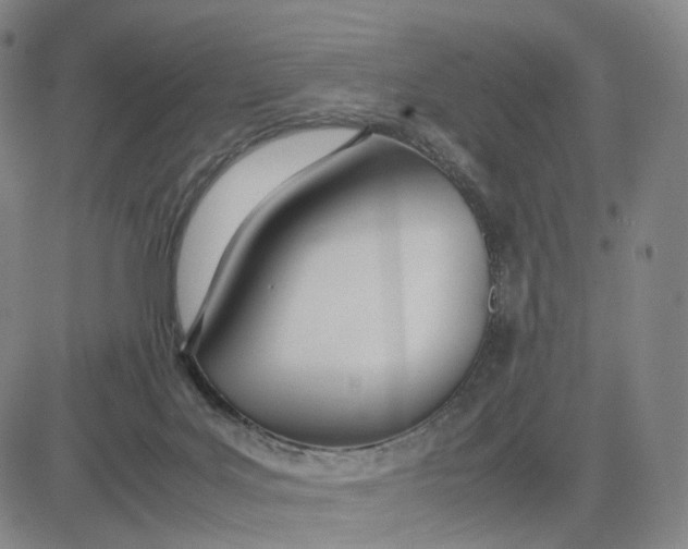 X0000083010027200702231824