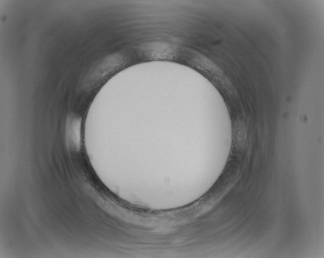 X0000083010028200702231824