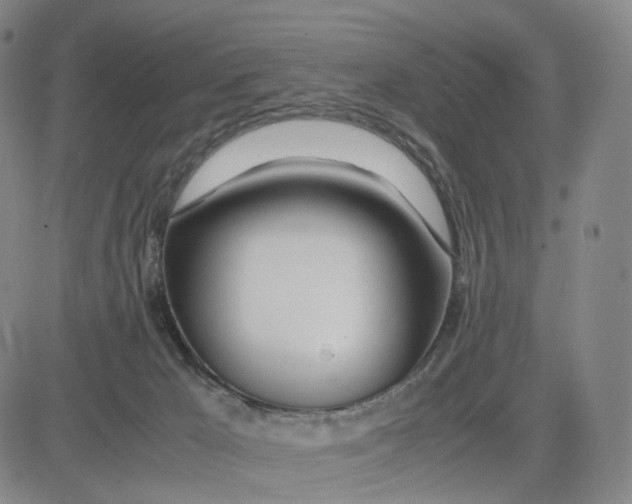 X0000083010029200702231824