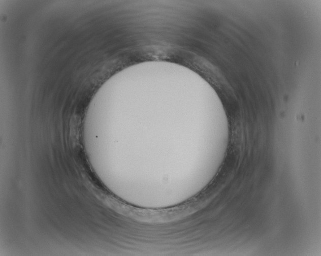 X0000083010030200702231824