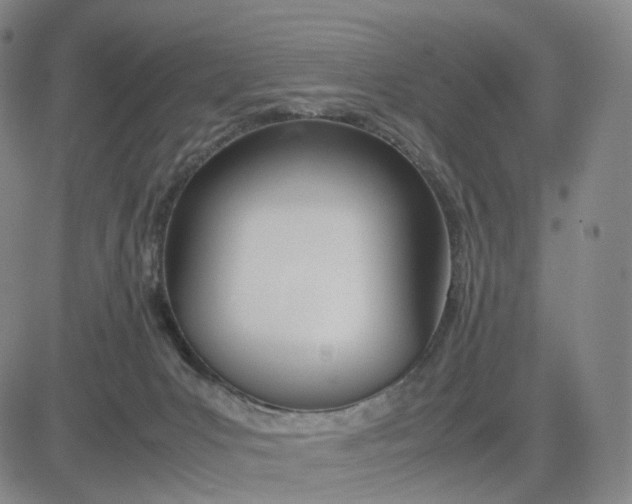 X0000083010031200702231824