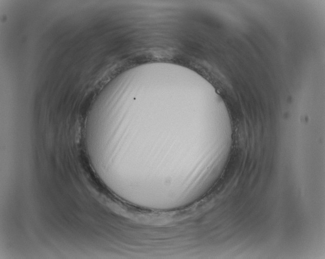 X0000083010032200702231824