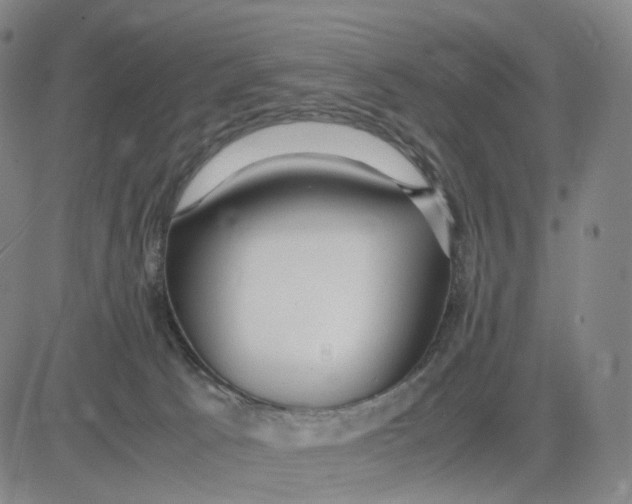 X0000083010033200702231824