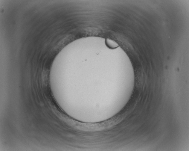 X0000083010034200702231824