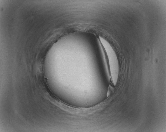 X0000083010035200702231824