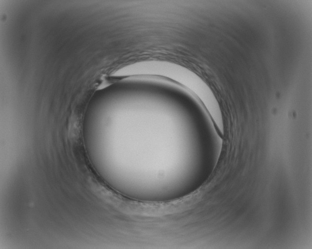 X0000083010037200702231823