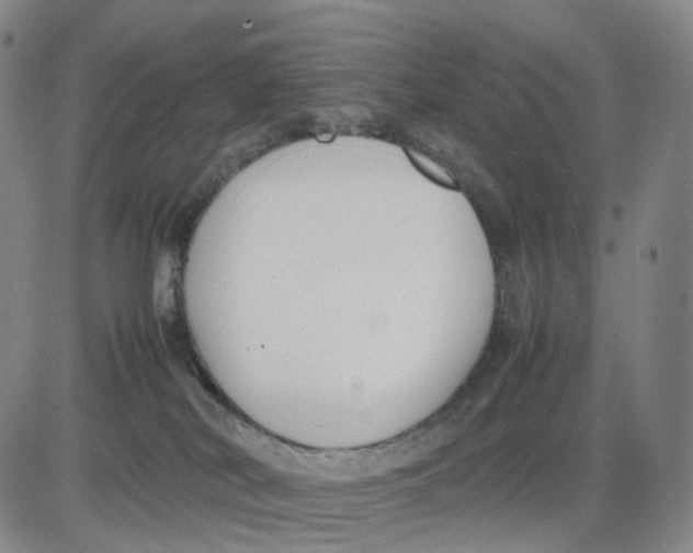 X0000083010038200702231823